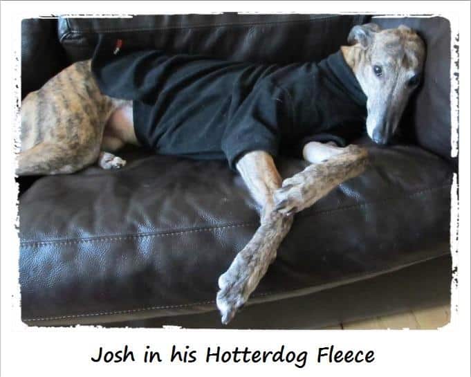 Hotterdog Fleece Black-4022