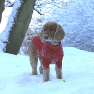 Hotterdog Fleece Red-0