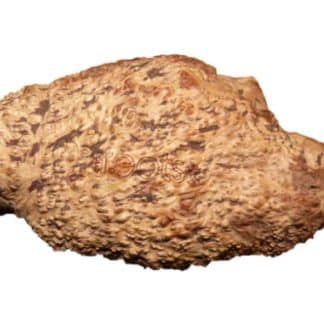 Roots Natural Dog Chews - Medium-0