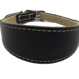 BBD Leather Hound Buckle Collar - Black-0