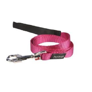 Red Dingo Lead - Purple-0