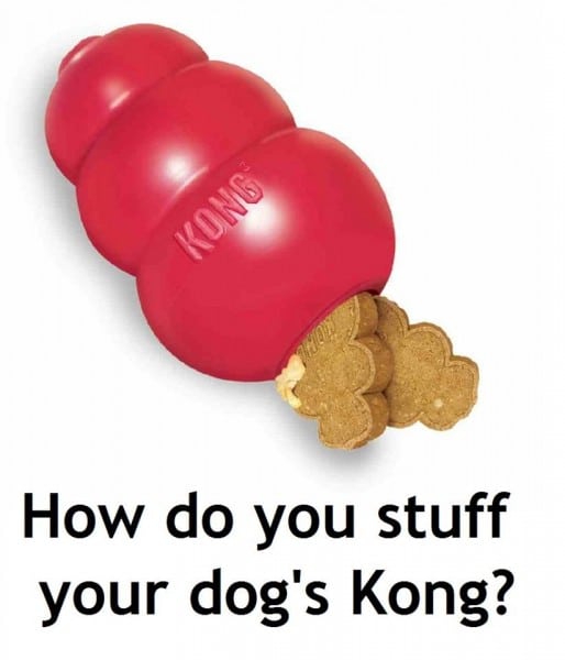 Maximise your Kong - stuffing recipe ideas wanted
