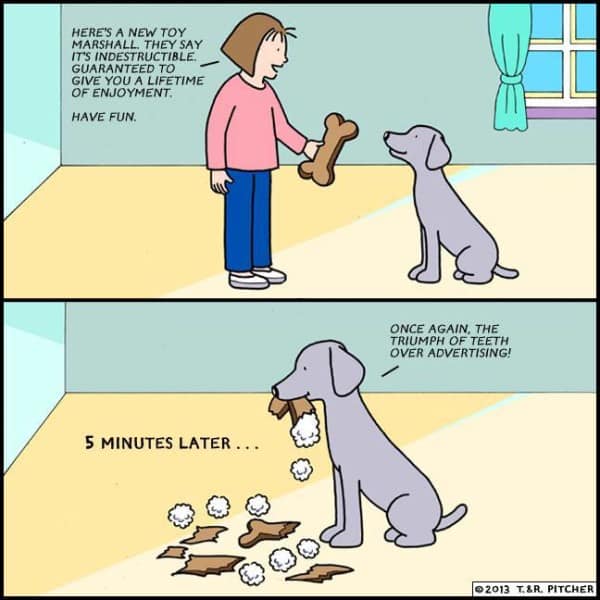 Is there such a thing as an indestructible dog toy?