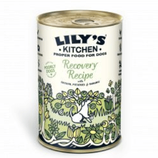 Lily's Kitchen Recovery Recipe - 400g