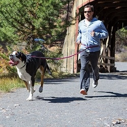 40352_RoamerLeash_Lifestyle04_Zoom