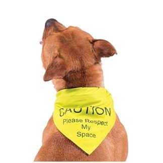 Ancol Yellow Warning Bandana - CAUTION Please Respect My Space-0