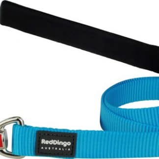 Red Dingo Leads - Turquoise-0