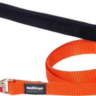 Red Dingo Leads - Orange-0