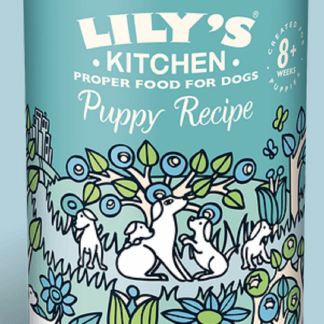 Lily's Kitchen Turkey and Duck Puppy Recipe 400g-0