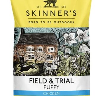 Skinners Field & Trial Puppy