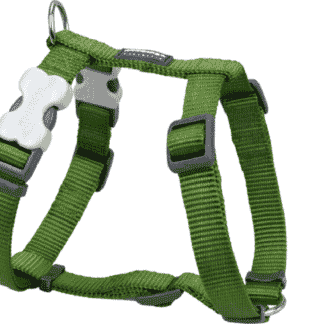 Red Dingo Harness (Green)