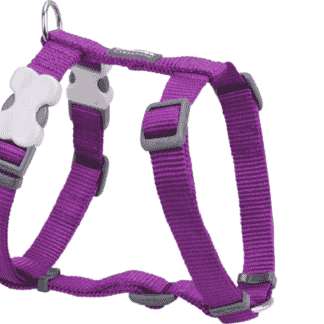 Red Dingo Harness (Purple)