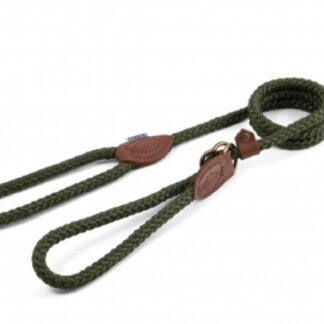 Ancol Heritage Slip Lead