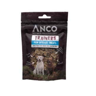 Anco Trainers- Fish