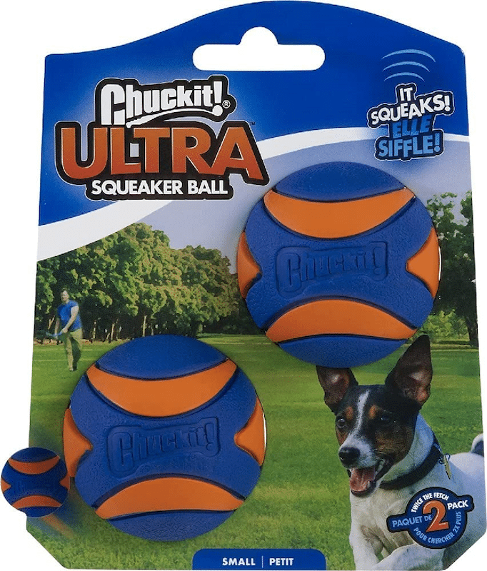 Chuckit! Ultra Squeaker Ball 2 Pack