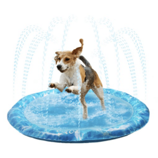 All for Paws Sprinkler Fun Mat